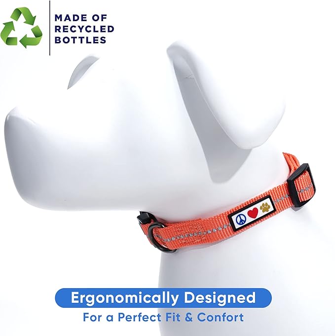 Pawtitas Recycled Dog Collar with Reflective Stitched Puppy Collar Made from Plastic Bottles Collected from Oceans Extra Small Living Coral