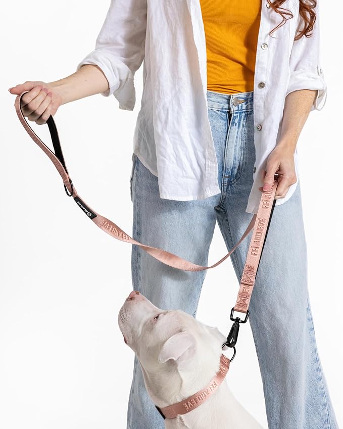 2025 New Edition, Fei & Eve Classic Dog Leash - 4FT, Dual Padded Handles, 360° Swivel Hook, Heavy Duty 210D Nylon - No-Pull Design with Traffic Control Handle - for Small/Medium/Large Dogs, Blush