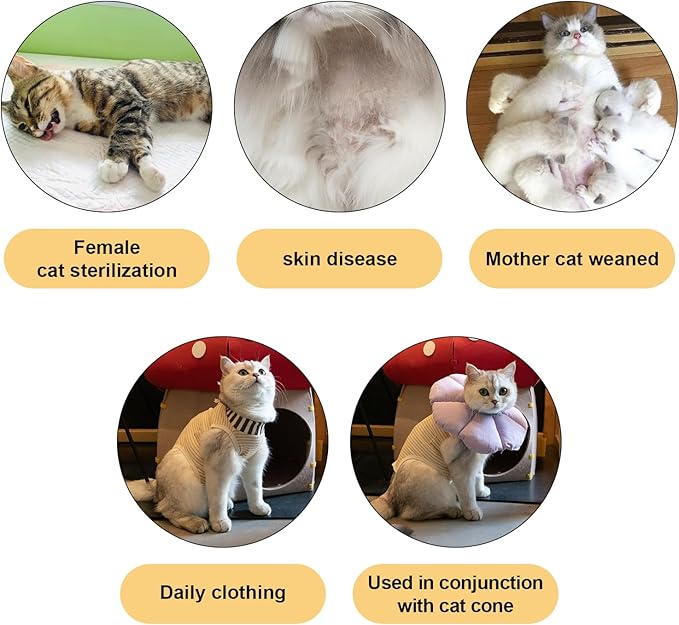 H HIDREAM Cat Clothes for Cats Only Female, Onesie for Women Spaying, Weaning, Skin Disease, Adjustable Cat Surgical Recovery Suit Gown Brown M