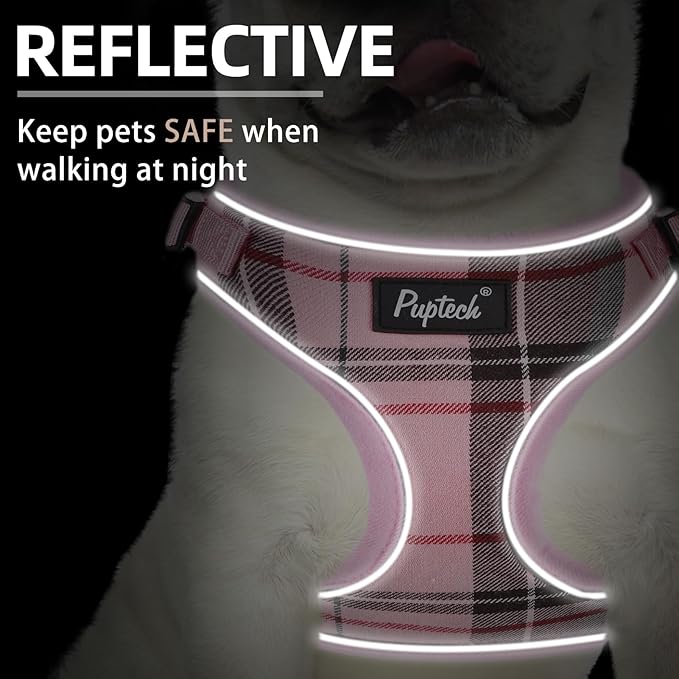 PUPTECK Soft Mesh Dog Harness and Leash Set Pet Puppy Cat Adjustable Reflective Padded Vest No Pull Harnesses, Pink, XS