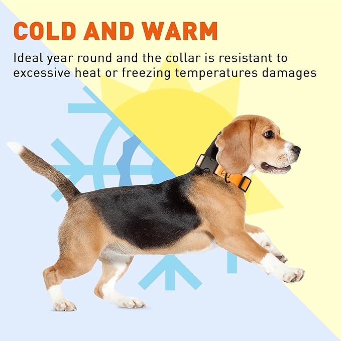 Dogline Durable Biothane Waterproof Collar for Dogs - Odor-Resistant Coated Webbing, Quick-Release Design, Comfortable Adjustable Fit, 1" W by 15-25" L,Tangerine Orange