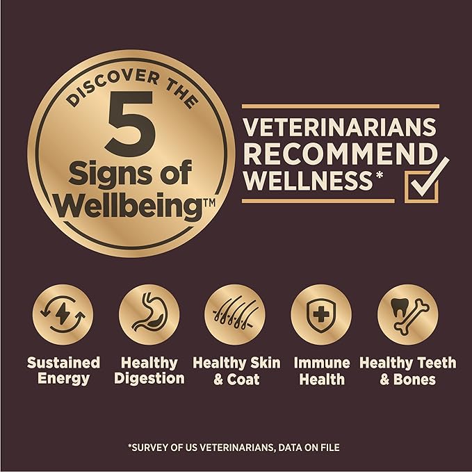 Wellness CORE Digestive Health Dry Dog Food, Small Breed, Wholesome Grains, Natural, Recipe for Dogs with Sensitive Stomachs, Chicken, (12-Pound Bag)