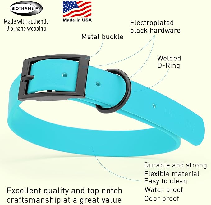 Dogline Biothane Coated Webbing Dog Collar with Black Metal Hardware: Durable Easy-Clean Everyday Collar for Dogs - Comfortable Adjustable Odor-Resistant Pet Collar, W1 x L18-22, Sky Blue