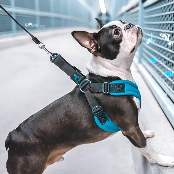 Gooby Escape Free Sport Harness - Blue, Small - No Choke Step-in Patented Neoprene Dog Harness with Four-Point Adjustment for Small to Medium Dogs