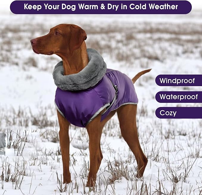Warm Waterproof Dog Coat,Size M Dogs Jacket Pet Winter Coat for Cold Weather with Thicken Furry Collar,Reflective Puppy Winter Jacket Warm Fleece Lining for Medium Dogs,Purple,M