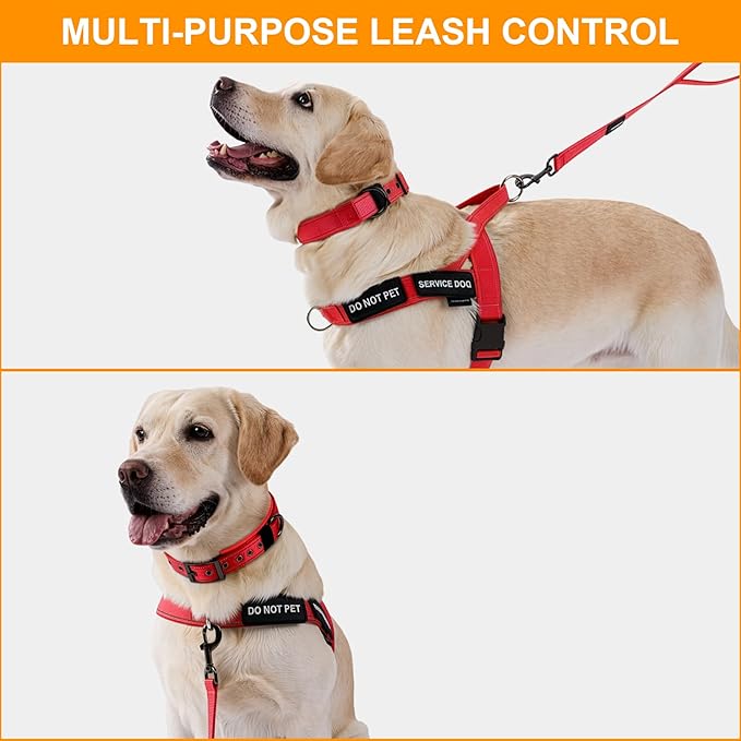Annchwool No Pull Dog Harness, Collar & Leash Set|Reflective Dog Harness+Heavy Duty Dog Collar+Dog Leash with Double Handle & Car Seatbelt Clip|Easy for Walking Medium Large Size Dogs(Red,XL)