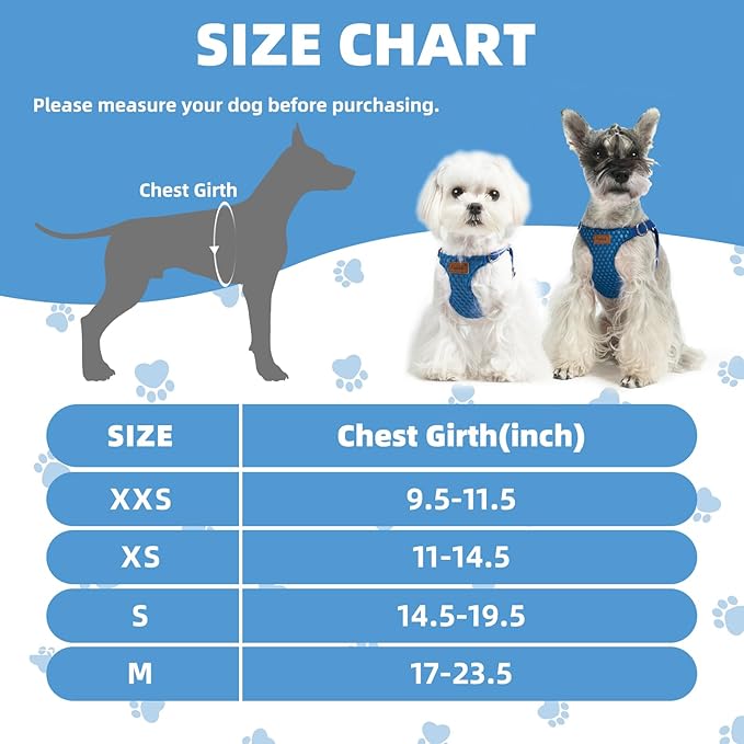 PUPTECK Dog Harness and Leash Set Small Sized, Step-in Cute Puppy Harness, Soft Lightweight Padded Vest, Escape Proof No Pull Pet Harnesses Easy for Walking, Blue, XXS