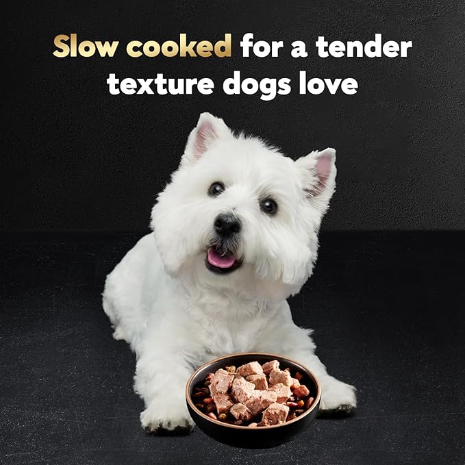 Cesar Wet Dog Food Classic Loaf in Sauce, Beef Recipe, Filet Mignon Flavor, Grilled Chicken Flavor, and Porterhouse Steak Flavor, 3.5 oz. Easy Peel Trays, Variety Pack of 24