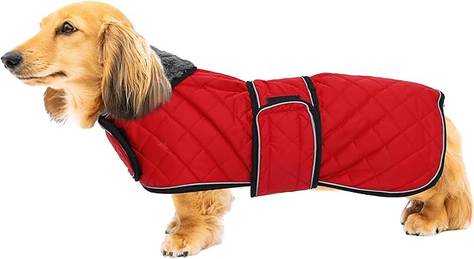 Geyecete Warm Thermal Quilted Dachshund Coat, Dog Winter Coat with Warm Fleece Lining, Outdoor Dog Apparel with Adjustable Bands for Medium, Large Dog-Red-XS