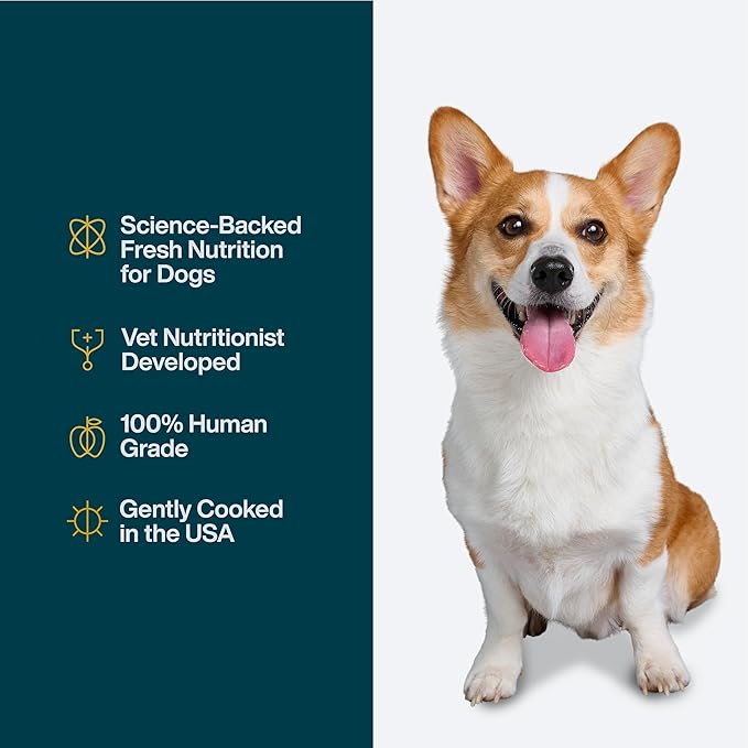 JustFoodForDogs Pantry Fresh Wet Dog Food, Complete Meal or Dog Food Topper, for Joint Health, Skin Health, Allergies, Joint & Skin Support, Pork & Quinoa - 12.5 oz (Pack of 12)