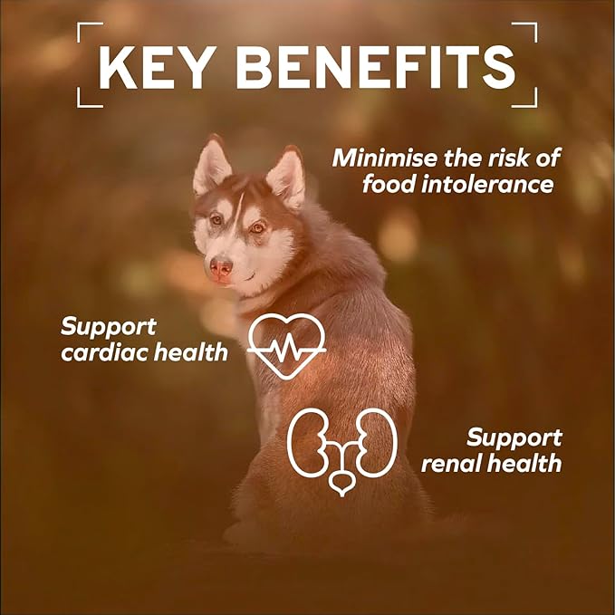 Forza10 Kidney Care Dog Food – Renal Support Wet Dog Food with Lamb, Low Protein & Phosphorus Formula, Sensitive Stomach, 3.5 oz Cans, 4 Pack – Vet Formulated, Made in Italy