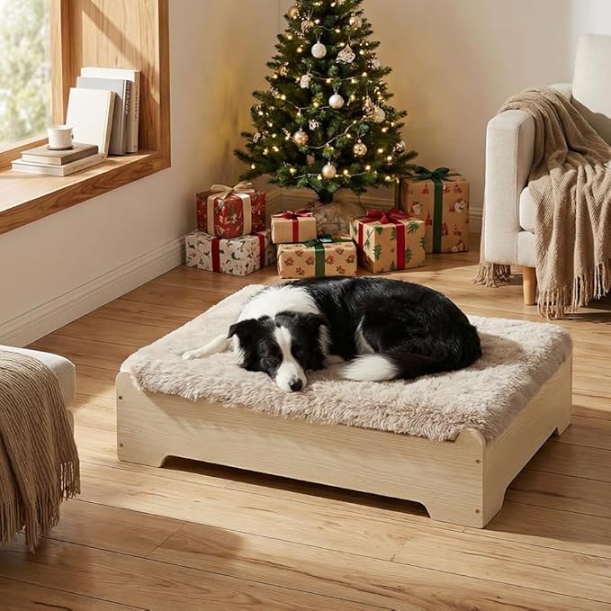 GLOSSGODS Elevated Dog Bed Frame and Mattress with Washable Cover, Naturalwood M Up to 50 lbs