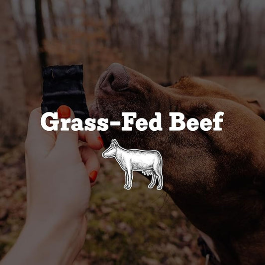 Farm Hounds - Beef Trainers - Premium Natural Beef Jerky for Dogs - Made from 100% Humanely Raised Cattle - Easy-Break - Great for Training & Treats - No Added Fillers - Made in USA - 4.5 oz - 1 Pack