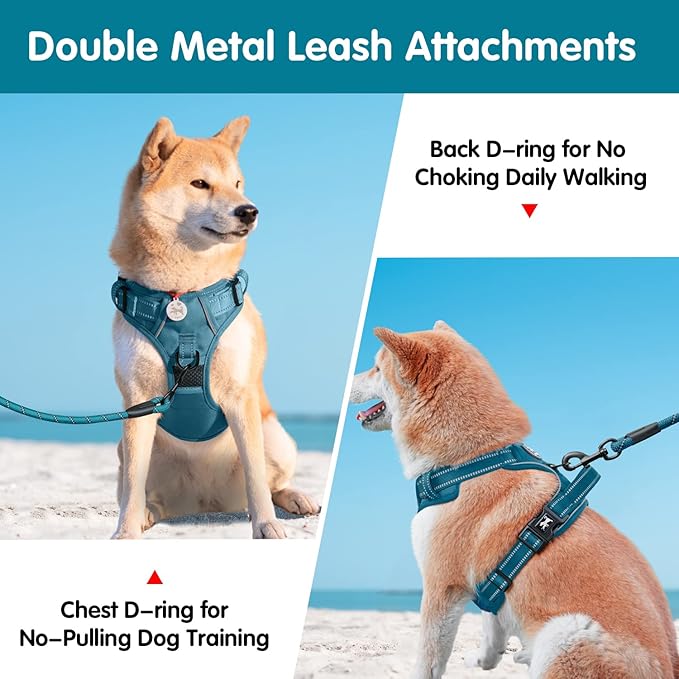 PoyPet No Pull Dog Harness and 5 Feet Leash Set, Release on Neck Reflective Adjustable Pet Vest, Front & Back 2 D-Ring and Soft Padded Pet Harness with Handle for Small to Large Dogs(Tumalo Teal,S)