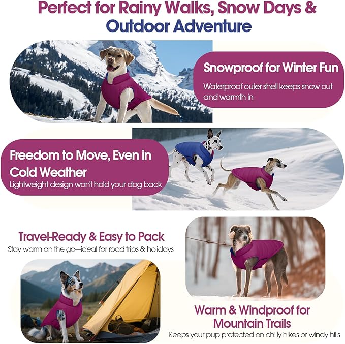 QBLEEV Reversible Dog Coat for Small Dogs, Waterproof Windproof Winter Jacket Keeps Small Breeds Warm & Dry, Lightweight Adjustable Puffer Vest with Leash Hole, Purple, XS – Fits Chihuahua, Yorkie