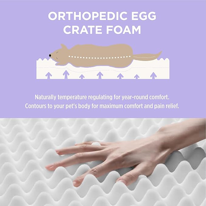 Lesure Outdoor Waterproof Dog Bed for Crate, Orthopedic Egg Crate Foam Pet Bed with Oxford Fabric Surface and Removable Cover, Machine Washable, 35''x22'', Black