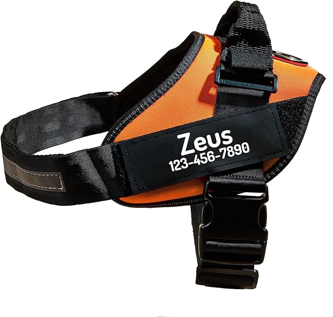 PawPawify Custom No Pull Dog Harness with Name and Phone Number, Heavy Duty Personalized Pet Vest to Prevent Tugging, Pulling, or Choking, Training and Walking (Orange, XXL (Chest 36-42in))