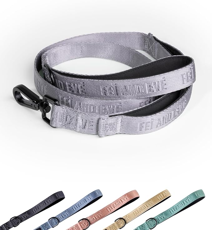 2025 New Edition, Fei & Eve Classic Dog Leash - 6FT, Dual Padded Handles, 360° Swivel Hook, Heavy Duty 210D Nylon - No-Pull Design with Traffic Control Handle - for Small/Medium/Large Dogs, Gray