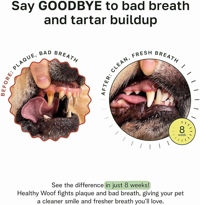 Dogbiotics Dental Powder for Dogs - Complete Oral Care Bone Broth, Dog Teeth Cleaning Powder, Tartar Remover, Fresh Breath, Sensitive Stomach Support, Dental Care, 4.2 oz, 60 Scoops