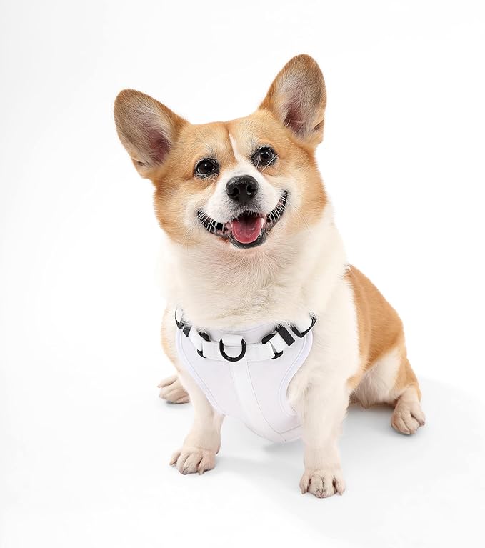 HNS1002F Arlo Medium Adjustable Soft Padded No Pull Pet Harness with 3 Buckles and 3 Leash Clips, Seltzer