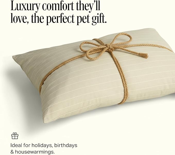 Preston Lane Brody Luxury Dog Bed with Removable Washable Cover – Plush Comfort for Small Dogs – Stylish Modern Design, Made in Portugal, Small