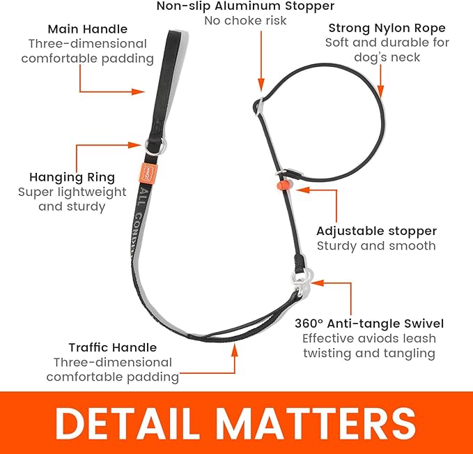 Howgo Slip Lead Dog Leash with Double Handles | Reflective Dog Training Leash with 360° Swivel Anti-Tangle | Heavy-Duty Leash and Collar for Large Medium and Small Dogs No-Pull Walking (Pink, 5.5FT)