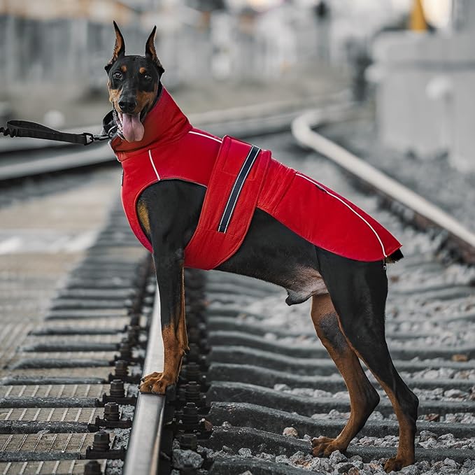 OneTigris Dog Coat Waterproof Dog Jacket with Adjustable Buckle Hook & Loop Windproof Cold Weather Coats for Small Medium Large Dogs (Red, X-Large)