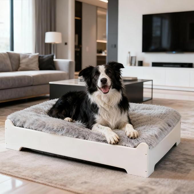 Elevated Dog Bed,32×24.8 Inch Medium Raised Dog Couch with Cover, White M Supports up to 50lbs