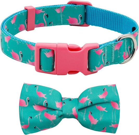 azuza Bowtie Dog Collar, Soft & Comfy Dog Collar with Bow, Fun Patterns & Bright Color for Medium Dogs