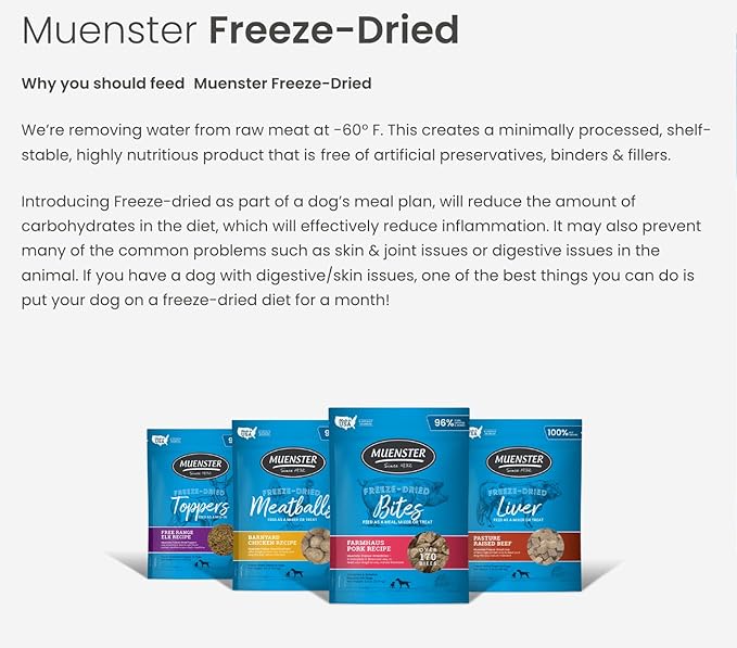 Muenster Freeze Dried Beef Meatball Dog Treats 4 oz - Grain Free, Made in USA