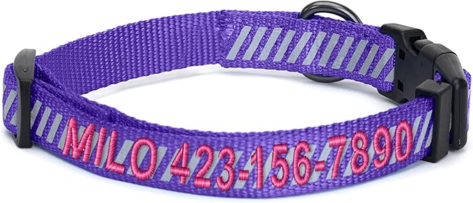 Pawtitas Reflective Dog Collar - Personalized Name & Phone Number, Adjustable for Small Dogs & Puppies - Purple