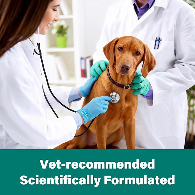 Dewormer for Large Dogs - Pet Dewormer Liquid – Tapeworm, Roundworms & Hookworms - Worm Remover(25.1 to 200 lbs)