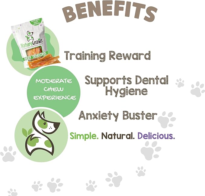 Nature Gnaws Beef Tendons for Dogs (1Lb) - Mixed Thickness - Long Lasting for Small and Medium Dogs - Natural Beef Jerky Dog Chew Bones - Rawhide Free