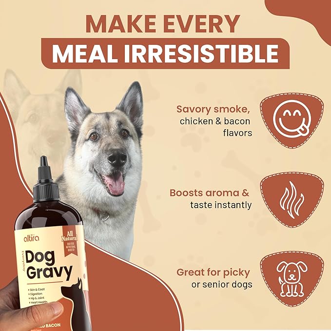 Everyday Dog Gravy - Premium Wet Dog Food Gravy Toppers for Dry Food – Tasty & Nutritious with Essential Vitamins and Supplements – Hip and Joint Supplement (Bacon)