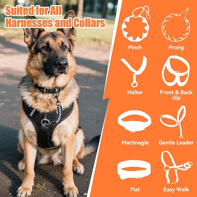 Dog Collar Safety Clip, Collar Companion, Handmade Backup Safety Strap, Double-Ended Clip Leash Connector, Suitable for Dog Harnesses, Prong, Pinch Collars (Black Gray + Black Gold, 2 Pack)