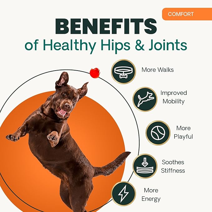 VetriScience Extra Strength Hip & Joint Supplement for Dogs, GlycoFlex 3 –Vet Formulated Glucosamine, MSM & Green-Lipped Mussel Chews for Mobility, Flexibility & Joint Support, Chicken Flavor, 60ct
