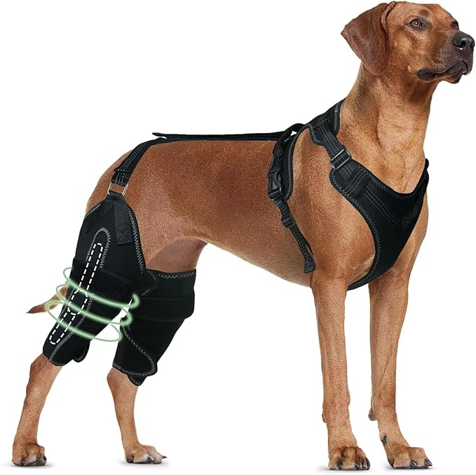 Dog Knee Brace for ACL/CCL Injuries,Torn Ligament,Pain Relief,Joint Warmth,Luxating Patella - Rear Leg Support,Both Legs,Black,XL