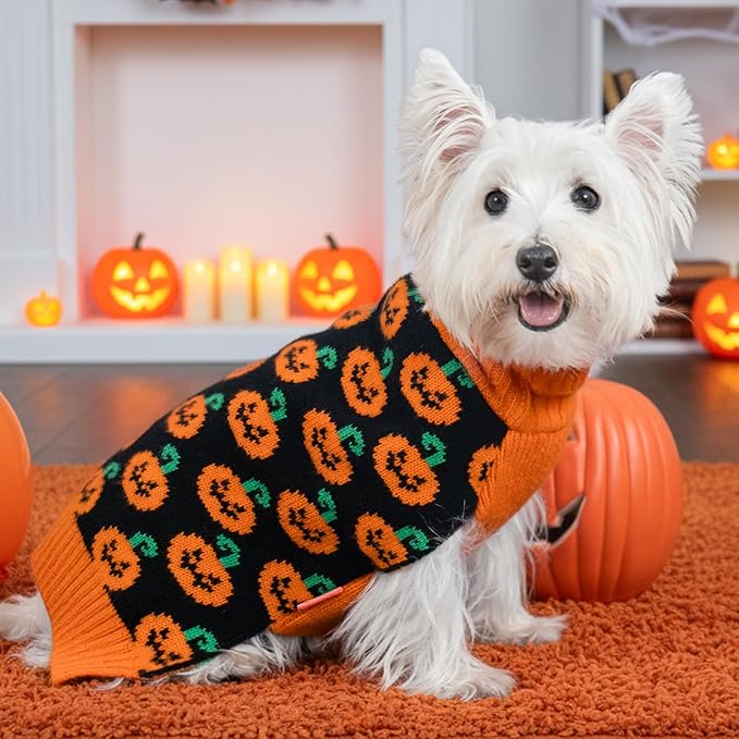 KYEESE Halloween Dog Sweater for Small Dogs with Leash Hole Adorable Pumpkin Pattern Turtleneck Doggie Outfit Soft Warm Knitwear Orange Knitted Dog Clothes Girl Festive Lightweight Halloween, Medium