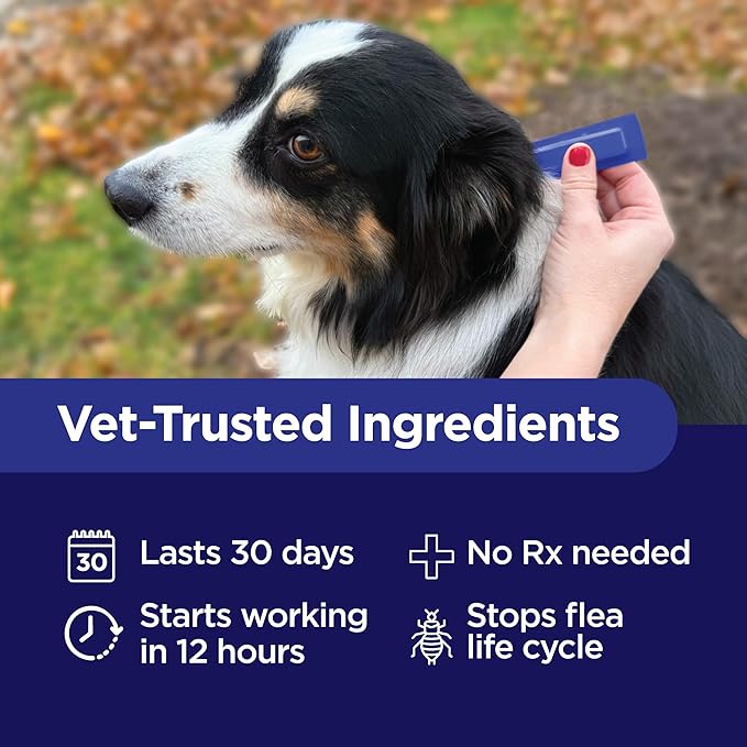 TevraPet Activate II Flea and Tick Prevention for Dogs | 4 Count | Extra Large Dogs 55+ lbs | Topical Drops | 4 Months Flea Treatment