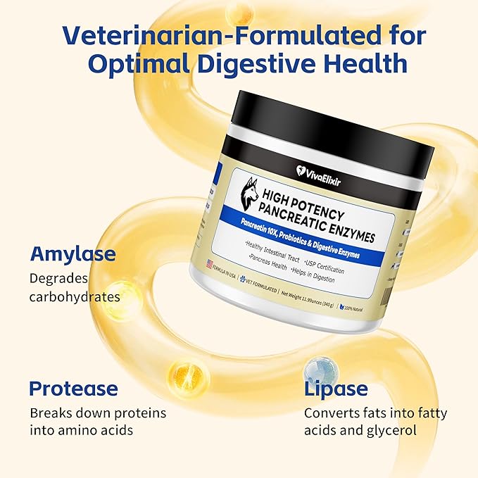 Pancreatic Enzymes for Dogs – 10X Pancreatin Digestive Enzyme Powder – Dog EPI Supplement for Pancreas Support – Helps Restore Weight, Improve Digestion & Relieve GI Stress – 11.99 oz – Vet Formulated