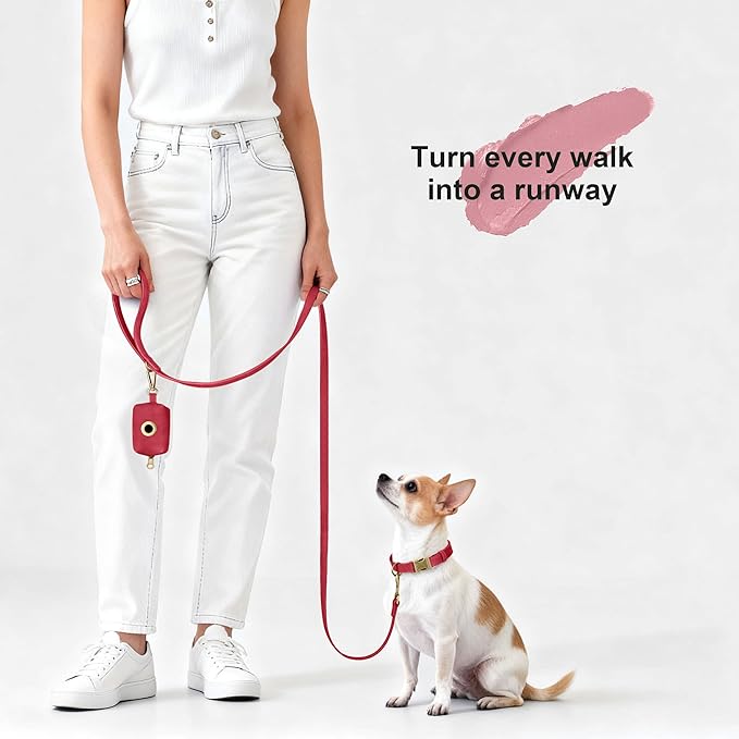 Didog Soft PU Leather Dog Collar, Stylish Quick Released Dog Collars for Small Dogs, Easy Clean Adjustable Pet Collar for Daily Walking, Red, S Fit 10-16" Neck