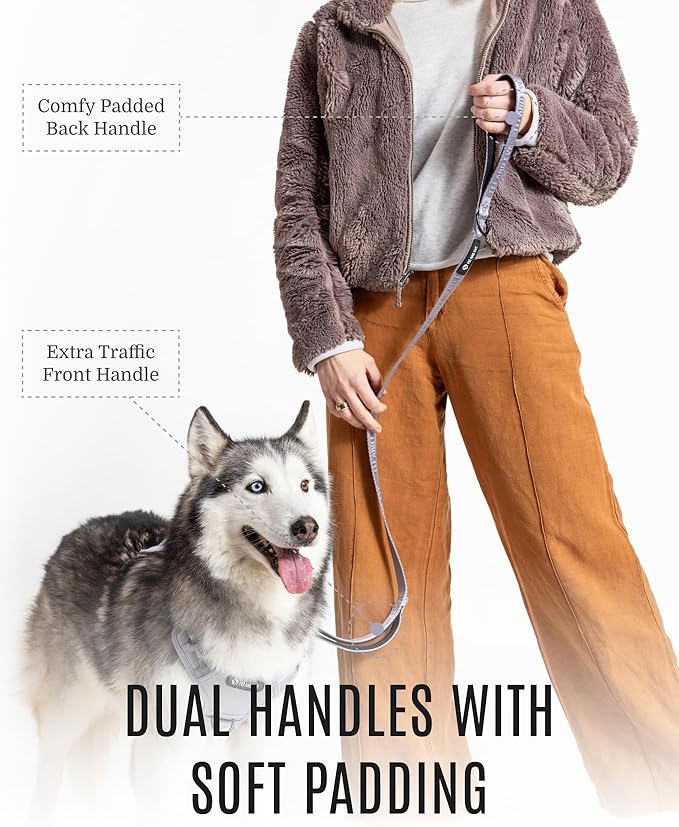 2025 New Edition, Fei & Eve Classic Dog Leash - 6FT, Dual Padded Handles, 360° Swivel Hook, Heavy Duty 210D Nylon - No-Pull Design with Traffic Control Handle - for Small/Medium/Large Dogs, Gray