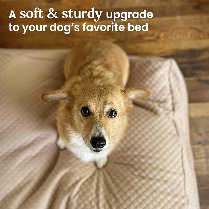 4Knines Luxury Dog Bed Cover – Waterproof Cover for Dog Bed – Heavy Duty Quilted Material – Durable, Machine Washable – USA Based Brand – Extra Large (Fog)