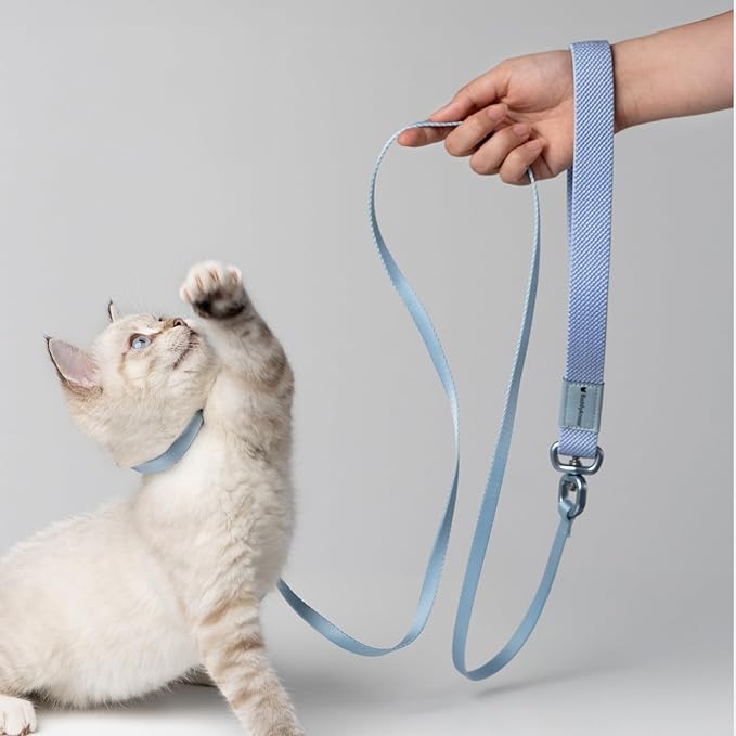 Cat Harness and Leash 2-in-1, Escape Proof Anti-Chocking Harness Adjustable Lighweight Leash for Walking Outoor Training for Kitten Small Large Cats Puppy, US IDA Bronze Award (Sierra Blue)