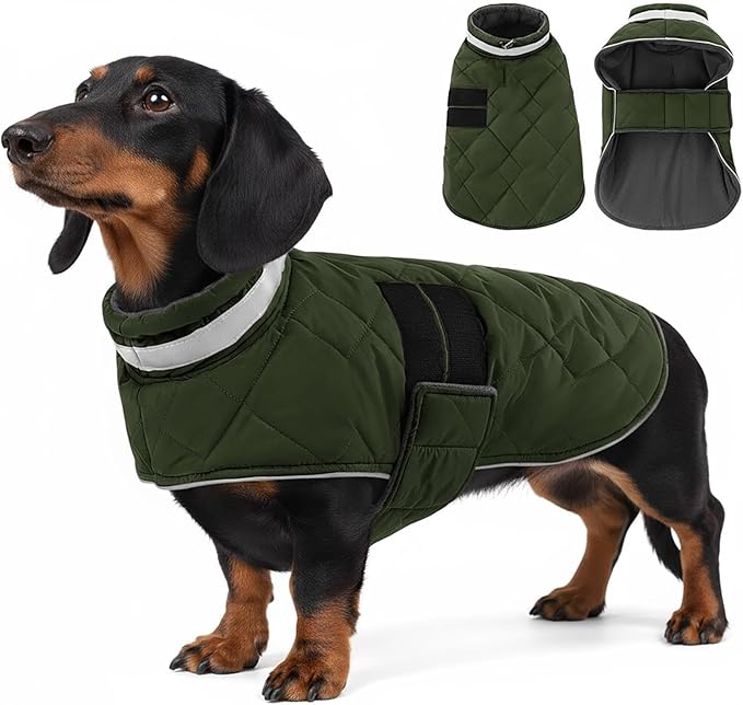 Dog Winter Coat Warm Padded Puppy Jacket Windproof Water Resistant Clothes for Small Medium Large Pets Christmas Sweater Outfit Vest(Green, XS)