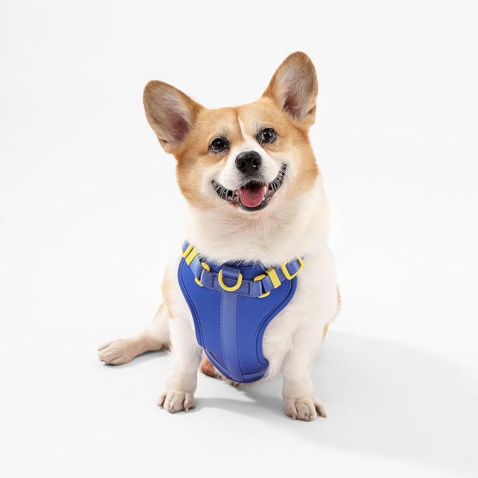 HNS1002C Arlo Medium Adjustable Soft Padded No Pull Pet Harness with 3 Buckles and 3 Leash Clips, Curaçao