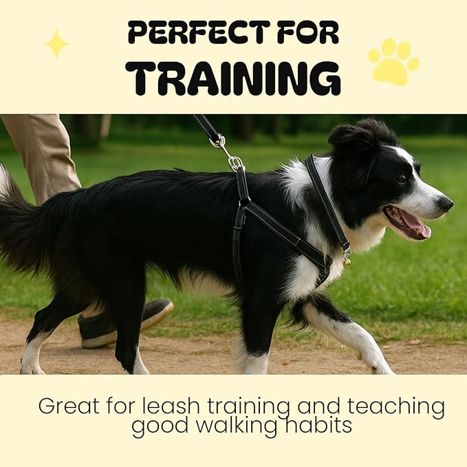 No Pull Dog Harness with Front Clip & Leash Set for Medium Dogs – Adjustable Dog Walking Vest with Soft Padding, Collar & Easy Control Handle - Pink (Large)