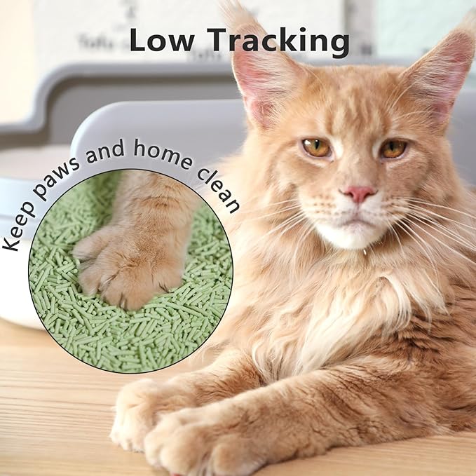 Raki Venus Tofu Cat Litter - Strong Clumping, Ultra Absorbent, Odor Control, Flushable, Low Tracking, Low Dust Tofu Litter Pellets 2 Packs/12LB (Green Tea)