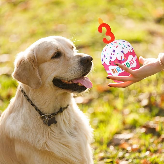 Dog Birthday Cake Toy Accessories for Girl Boy Gifts, Squeaky Plush Toy for Dog Birthday Party Decor Favor for Large, Medium and Small Dogs(3rd,Pink)