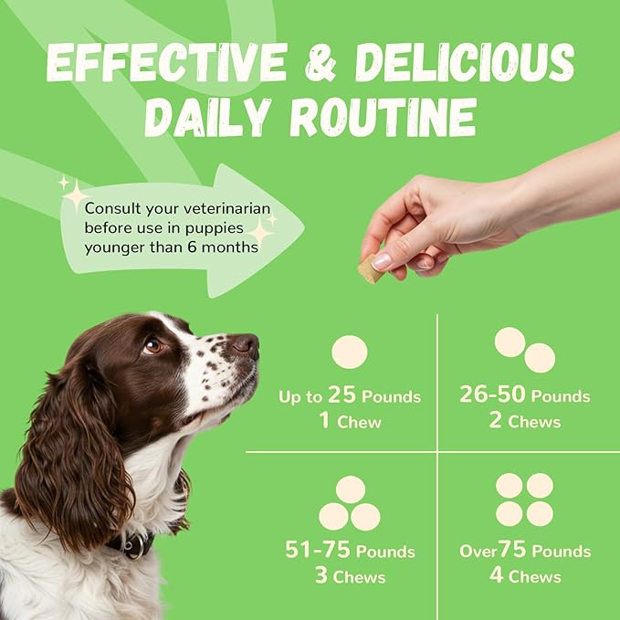 Furrolika Probiotics for Dogs – Made in The USA – Digestive Probiotics for Gut Health, Immune Support & Diarrhea Relief – Beef Flavor – 60 Soft Chews
